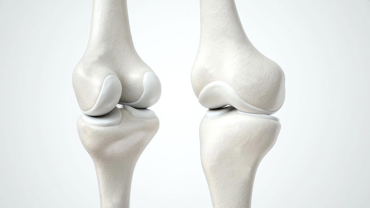 The Importance of Glucosamine for Joint Health