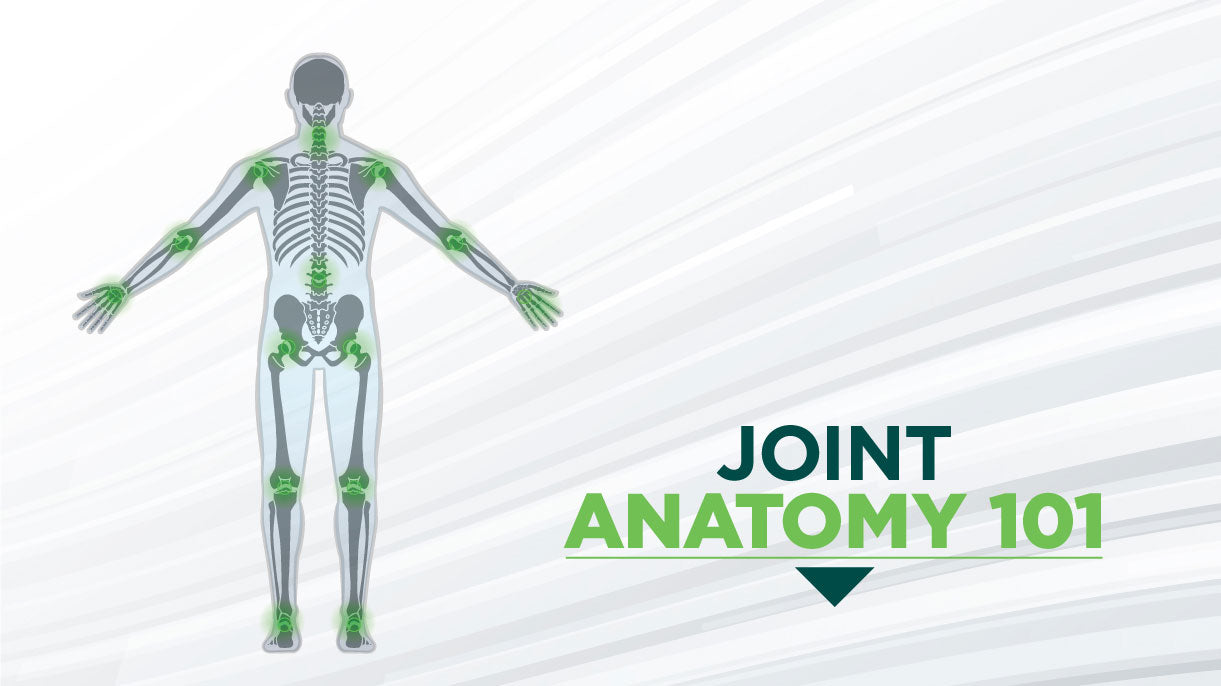 Types of Joints in the Body
