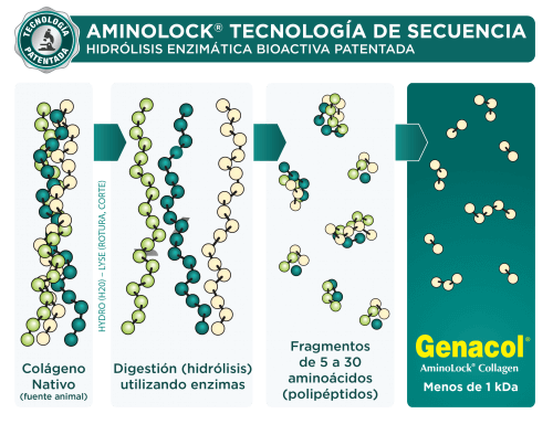AminoLock Tecnologia de secuencia