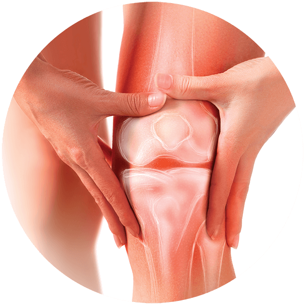 Genacol knee joint close up