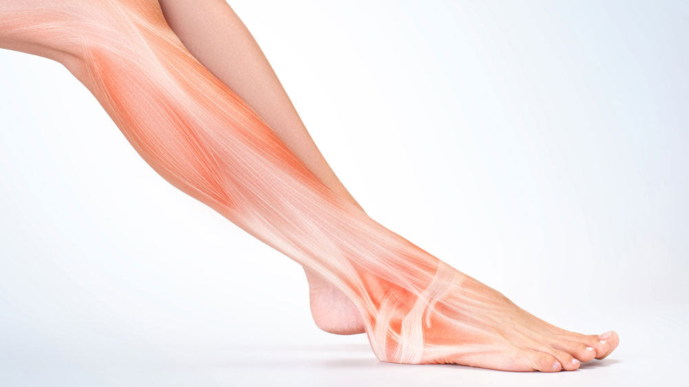 Most Important Facts About Ligaments