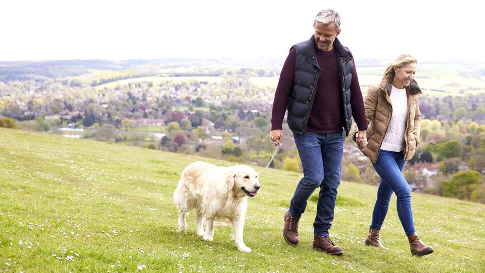Benefits of Walking
