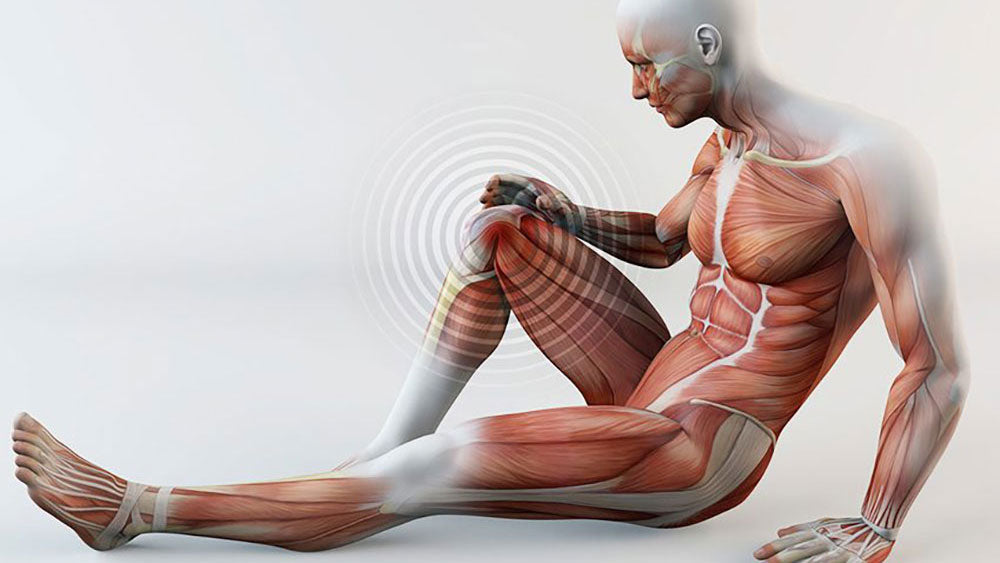 The Role of Collagen in Our Body