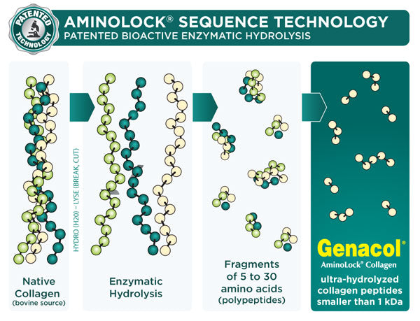 Genacol AminoLock Sequence Technology
